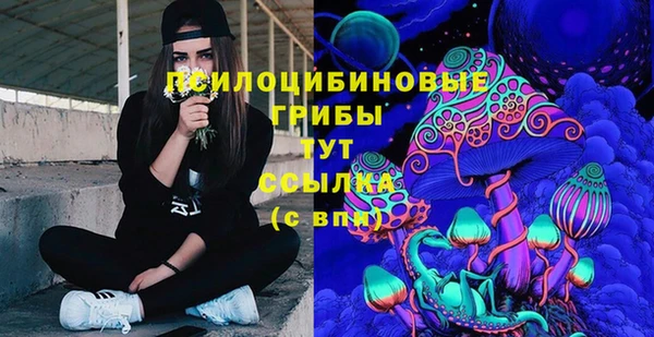 не бодяженный Аркадак