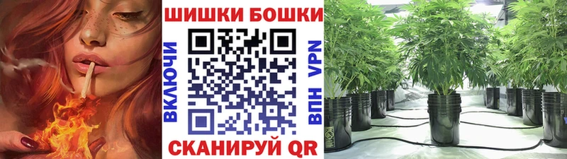 Каннабис сатива  купить  сайты  hydra зеркало  Уржум 